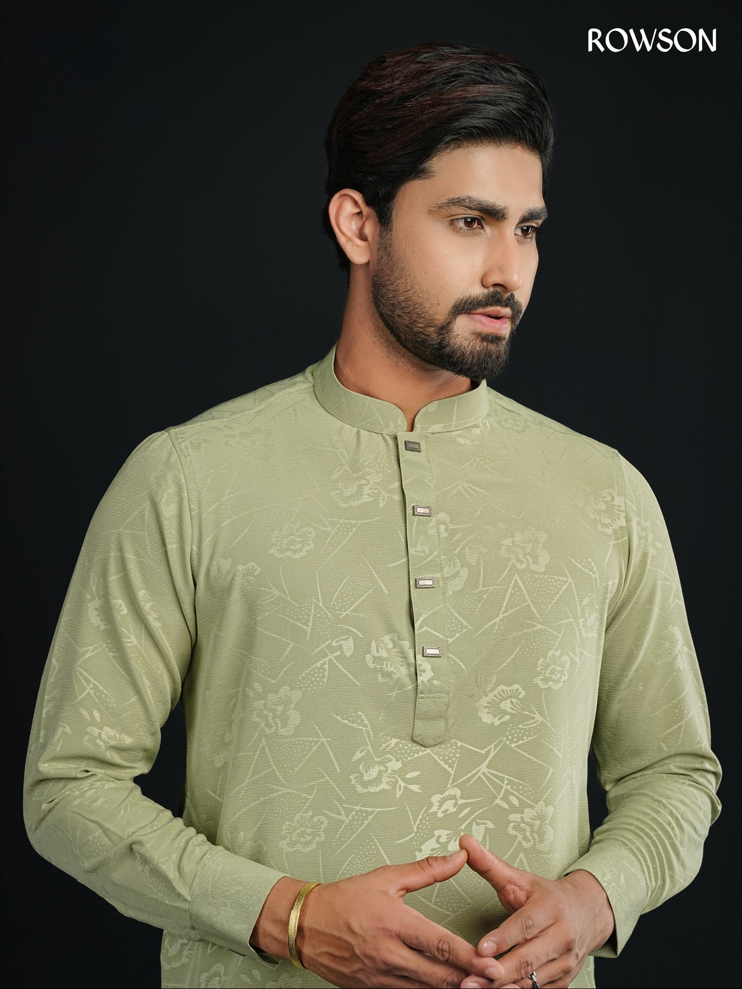 Royal Elegance Panjabi
